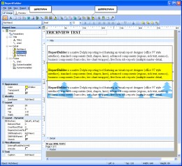 TRichView no ReportBuilder